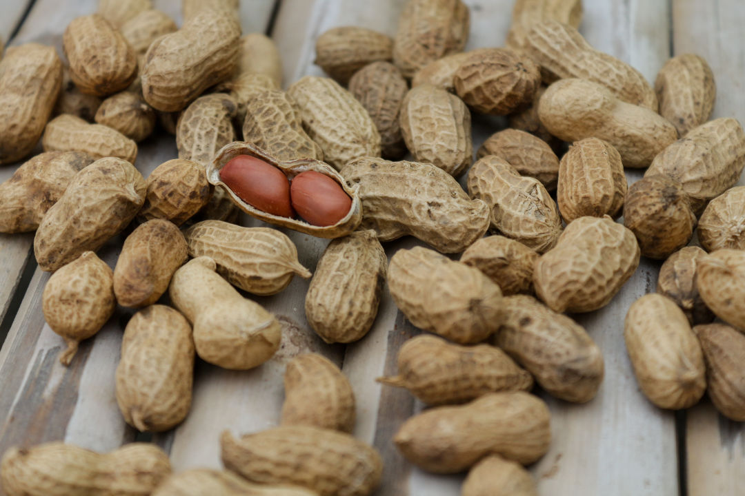 Peanut photo 2 from pexels eje55v