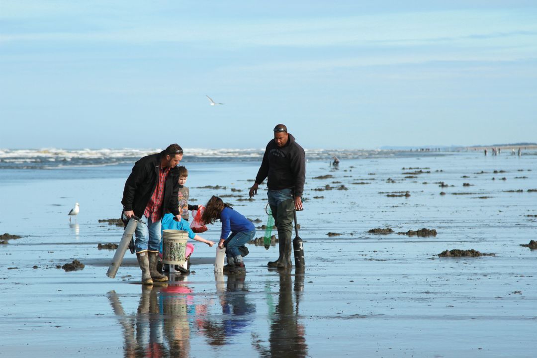 How to Go Clam Digging on Washington's Coast