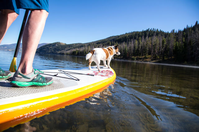 Colorado summit dillon resevoir dog paddleboard summer 2015 a8j1fn