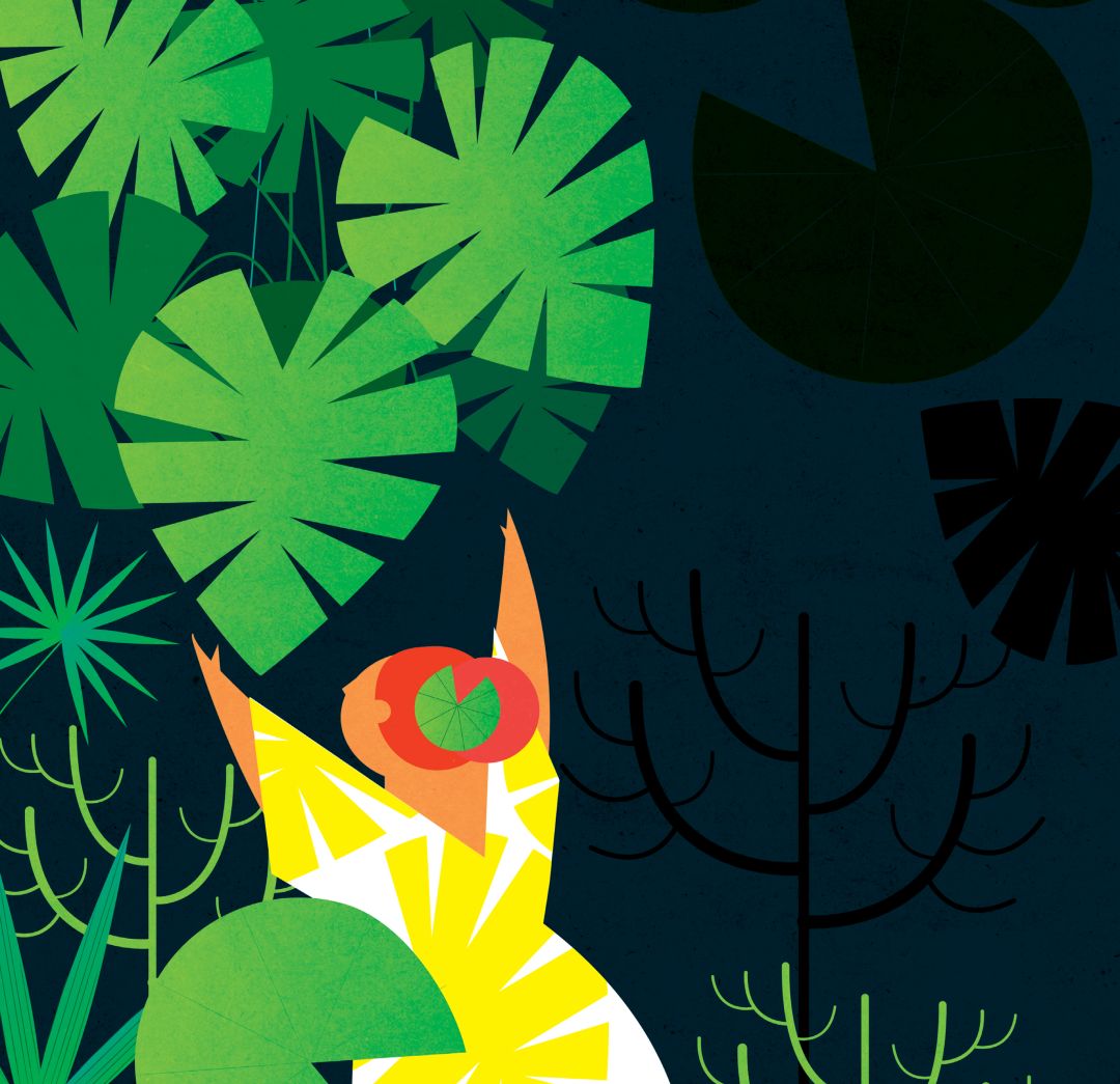 Da2017 plant illo yd2tro