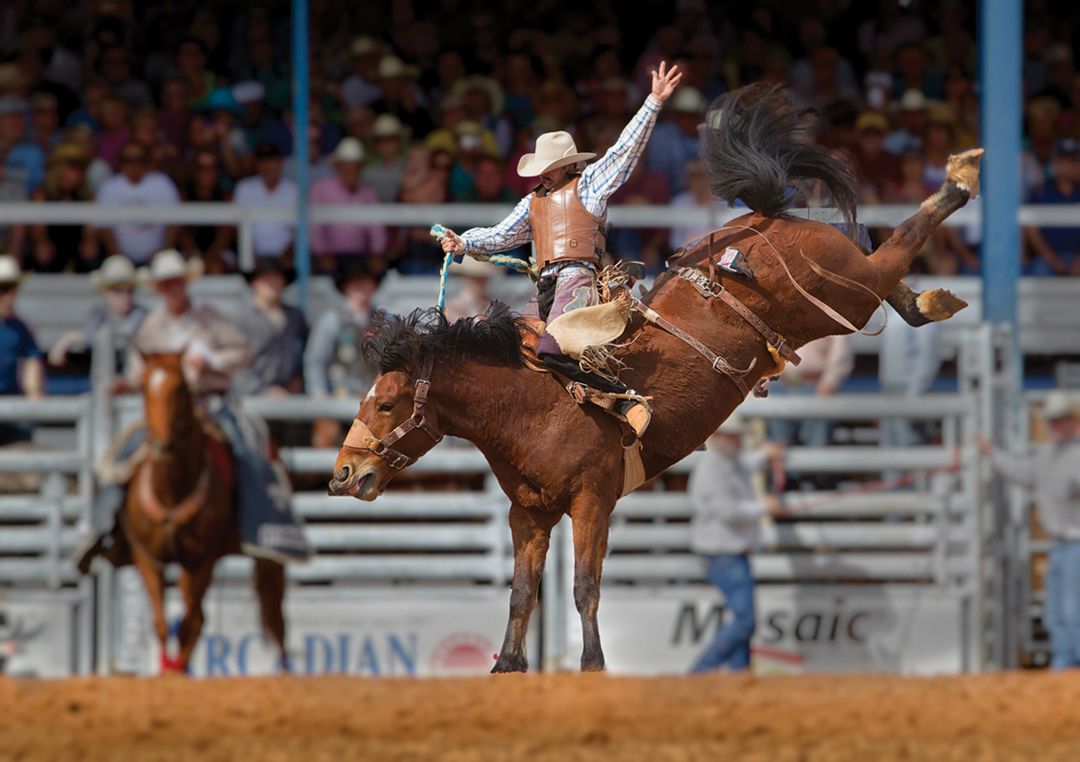 The Arcadia Rodeo Returns March 1013, 2022 Sarasota Magazine