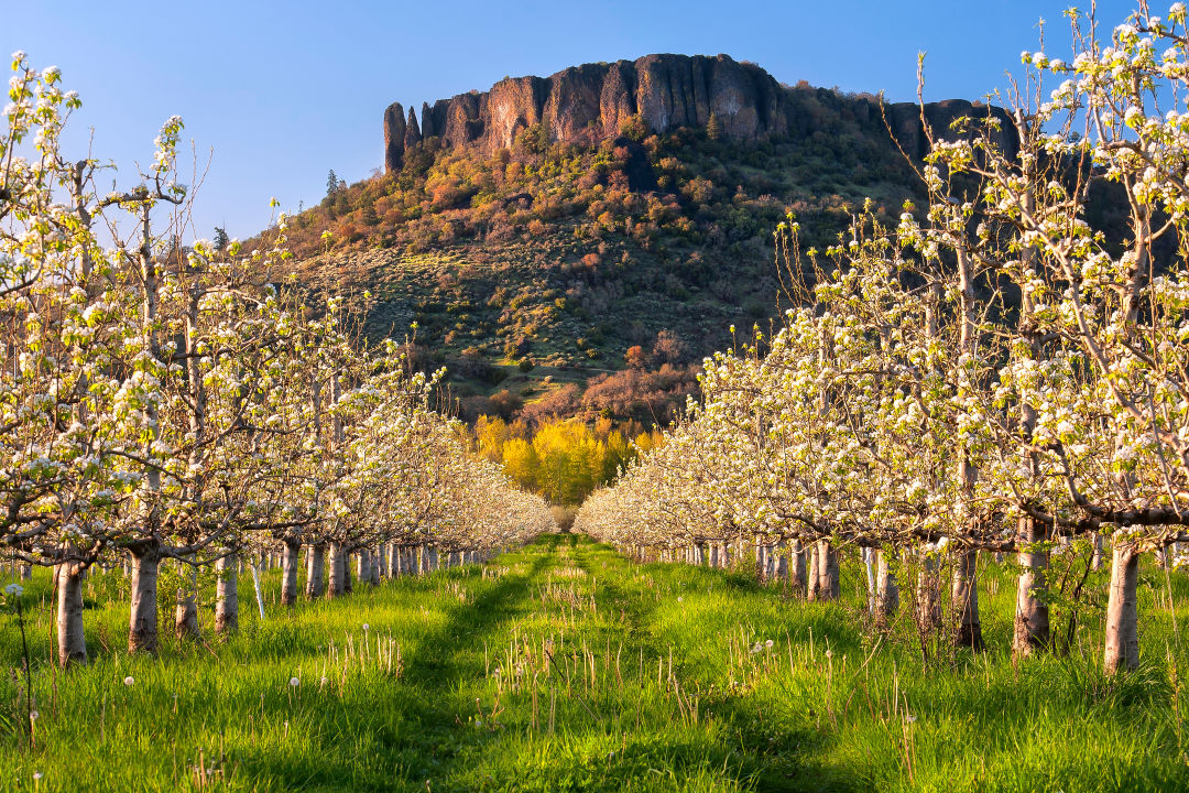 04202012 orchardslowertablerock 2 d89itc
