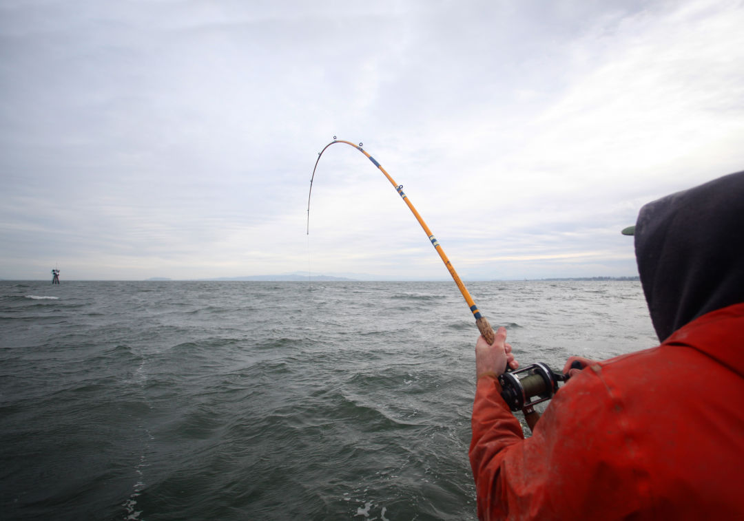 3.fishing wf4hmp