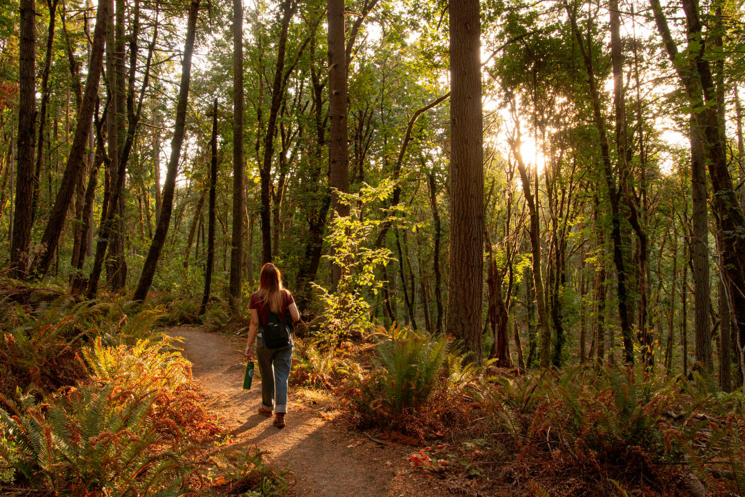 5 Portland-Area Nature for Next Outdoor Itch | Portland Monthly