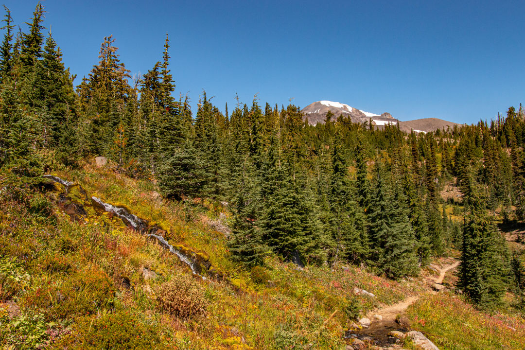 Mount Adams Recreation Area