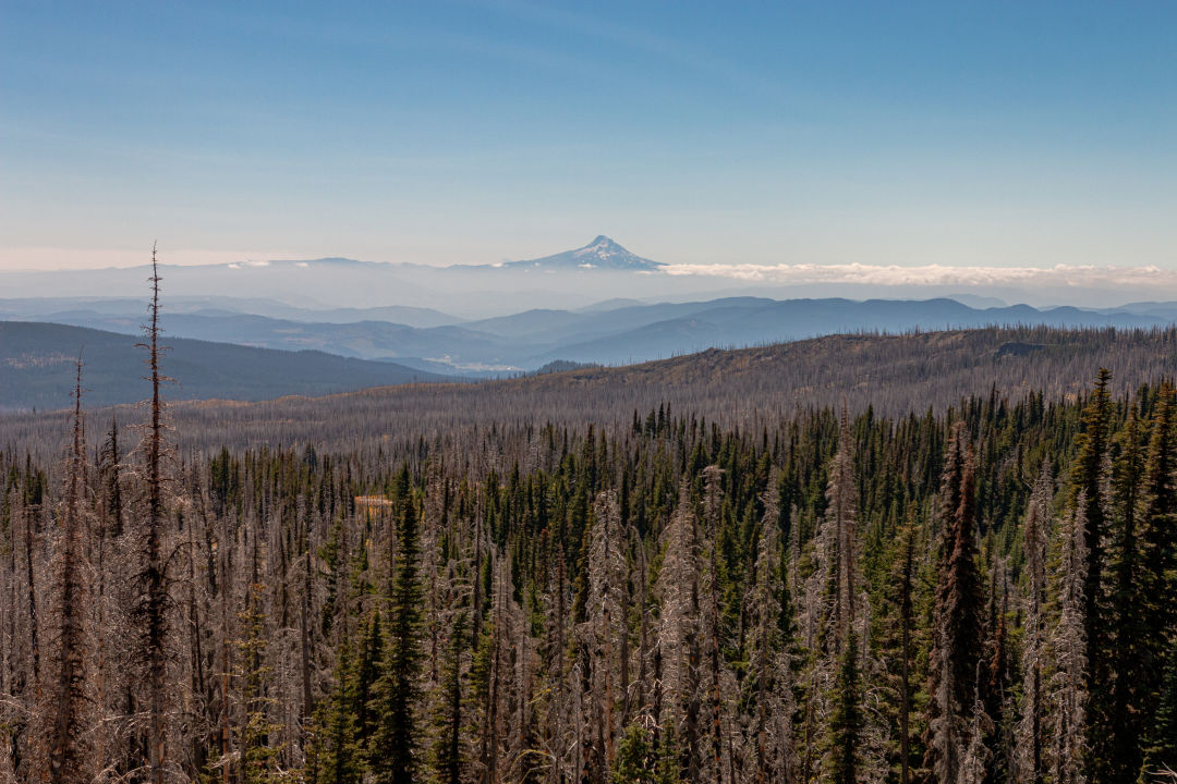 Mount Adams Recreation Area