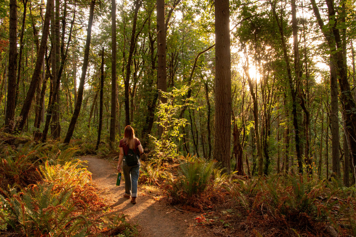 5 Post-Thanksgiving Hikes around Portland - Vimarsana News