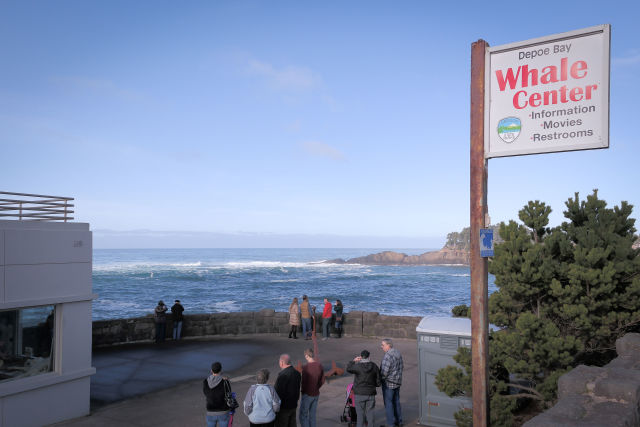 Depoe bay whale center 1 tkoujs