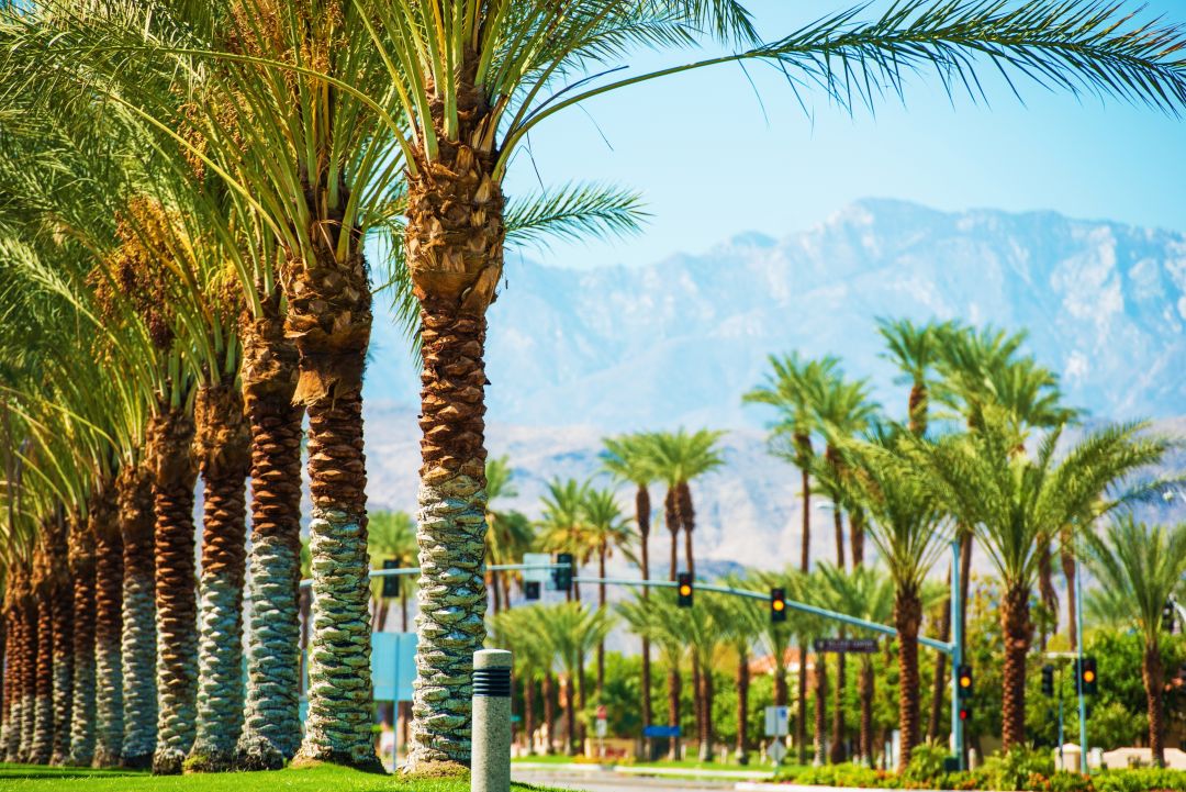 8 Bucket List Ideas For Your Next Dream Trip - Houstonia Magazine 9 Palm Springs shutterstock 242371033 nlegwb