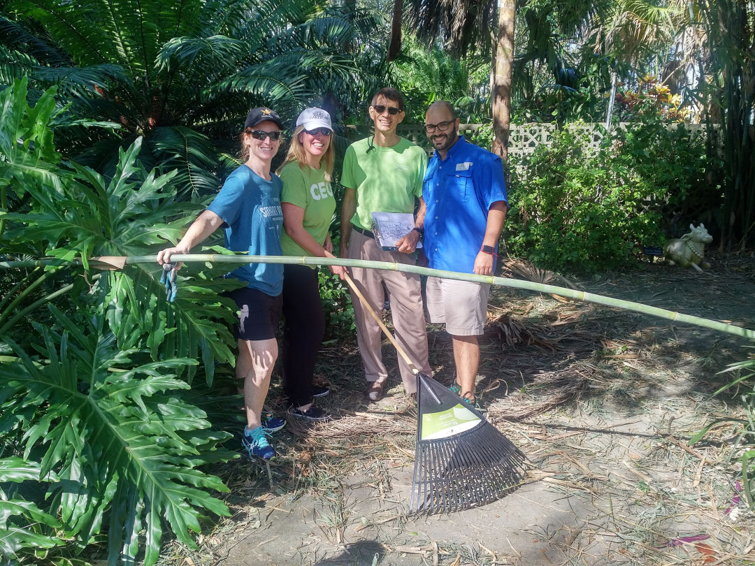 Selby gardens hurricane cleanup ayrmmt