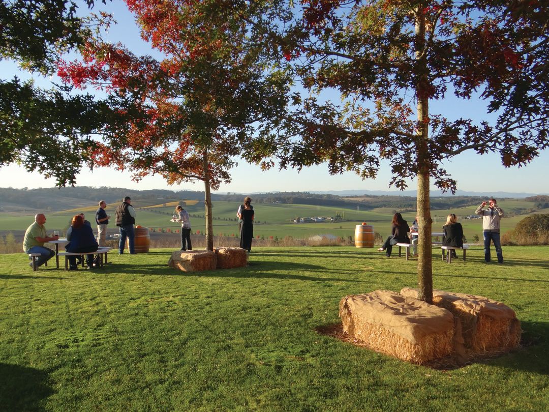 Vanduzer vineyards no credit necessary nq9hrh
