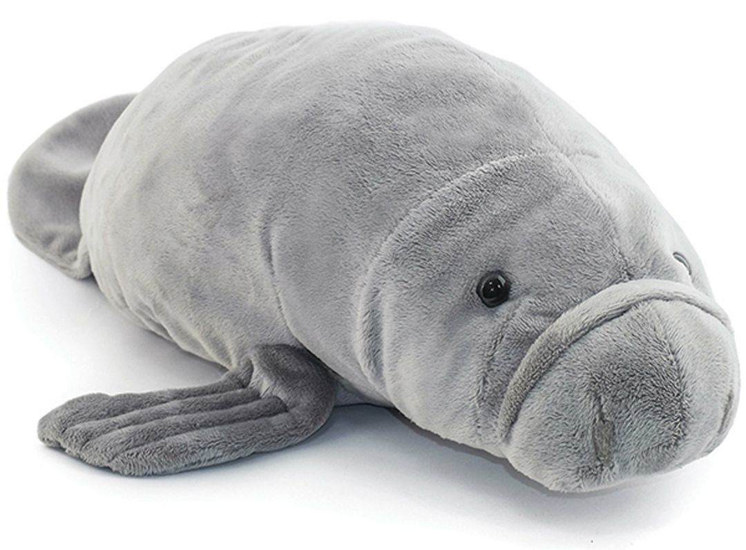 A huggable plush manatee is the perfect Nature Coast souvenir.