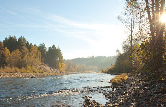 Sandy river impdac