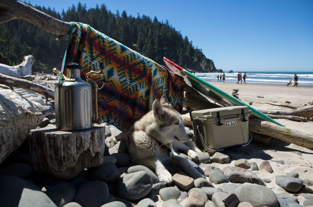 Gw beachdog kvlu0j