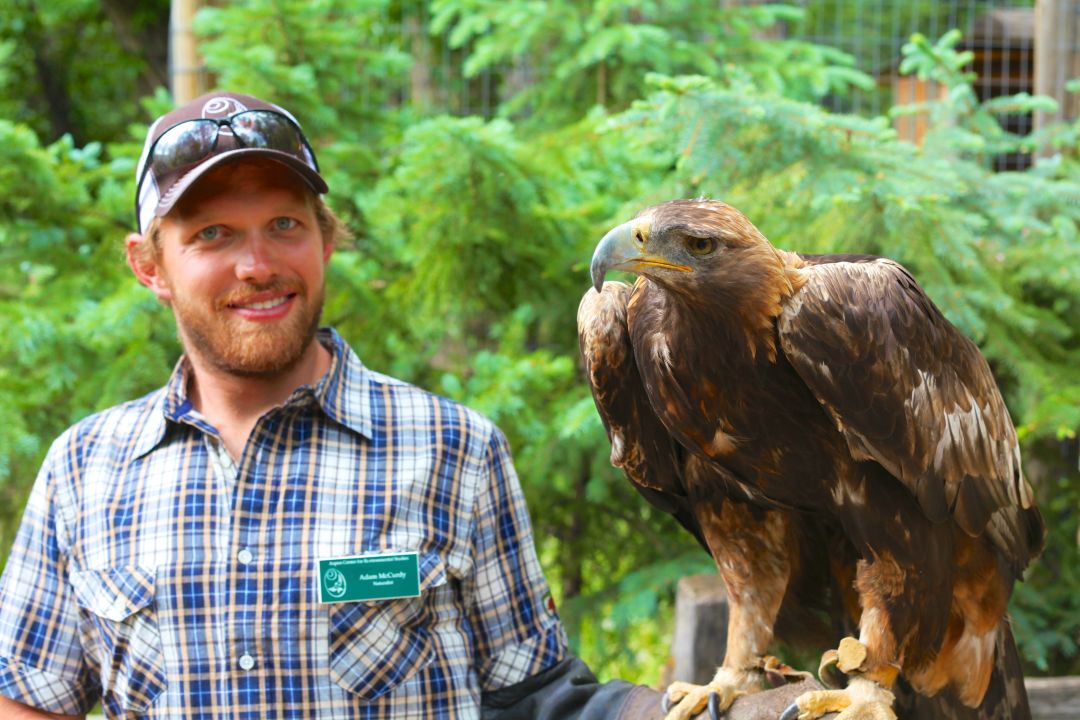 Aces eagle and handler2.jpg xbvwuj