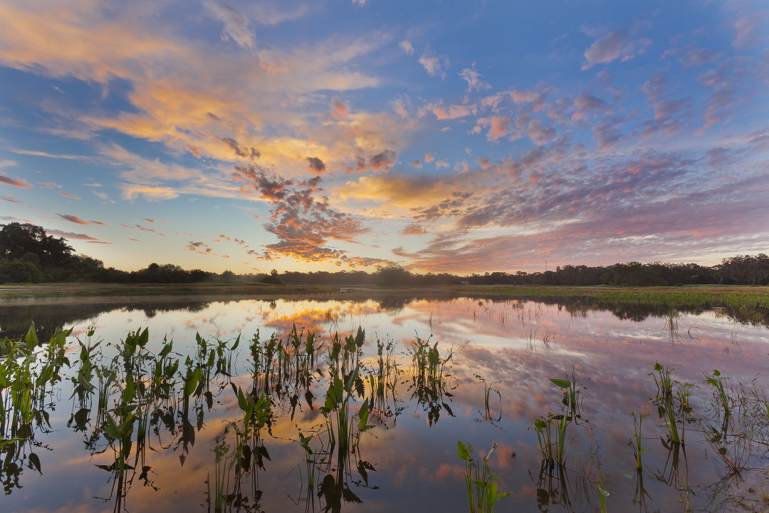 Revamped Bob Jones Golf Club and Nature Park to help keep Sarasota