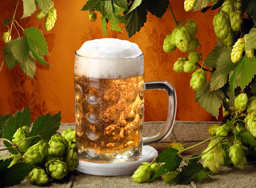 Beer n hops vztwo2