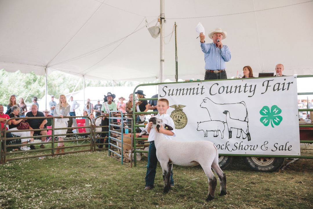 Pcsu 16 fair little buckaroo 2 hu4jym