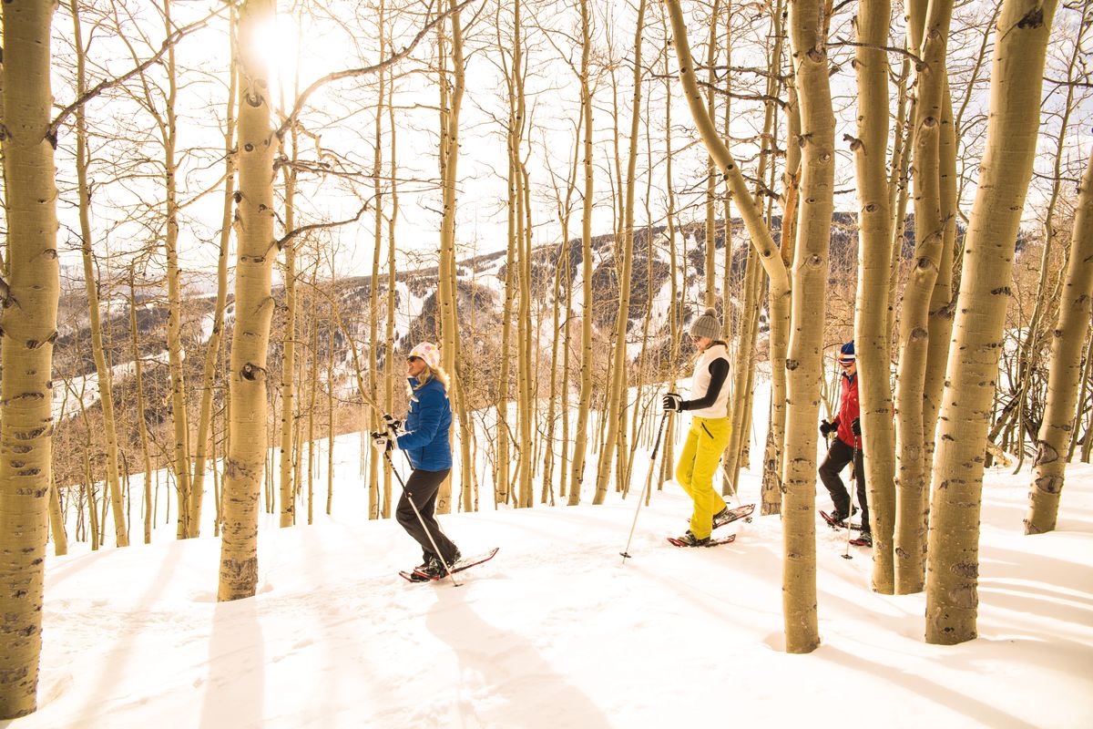 Your Guide to Snowshoeing and Telemark Skiing in the Vail Valley Vail