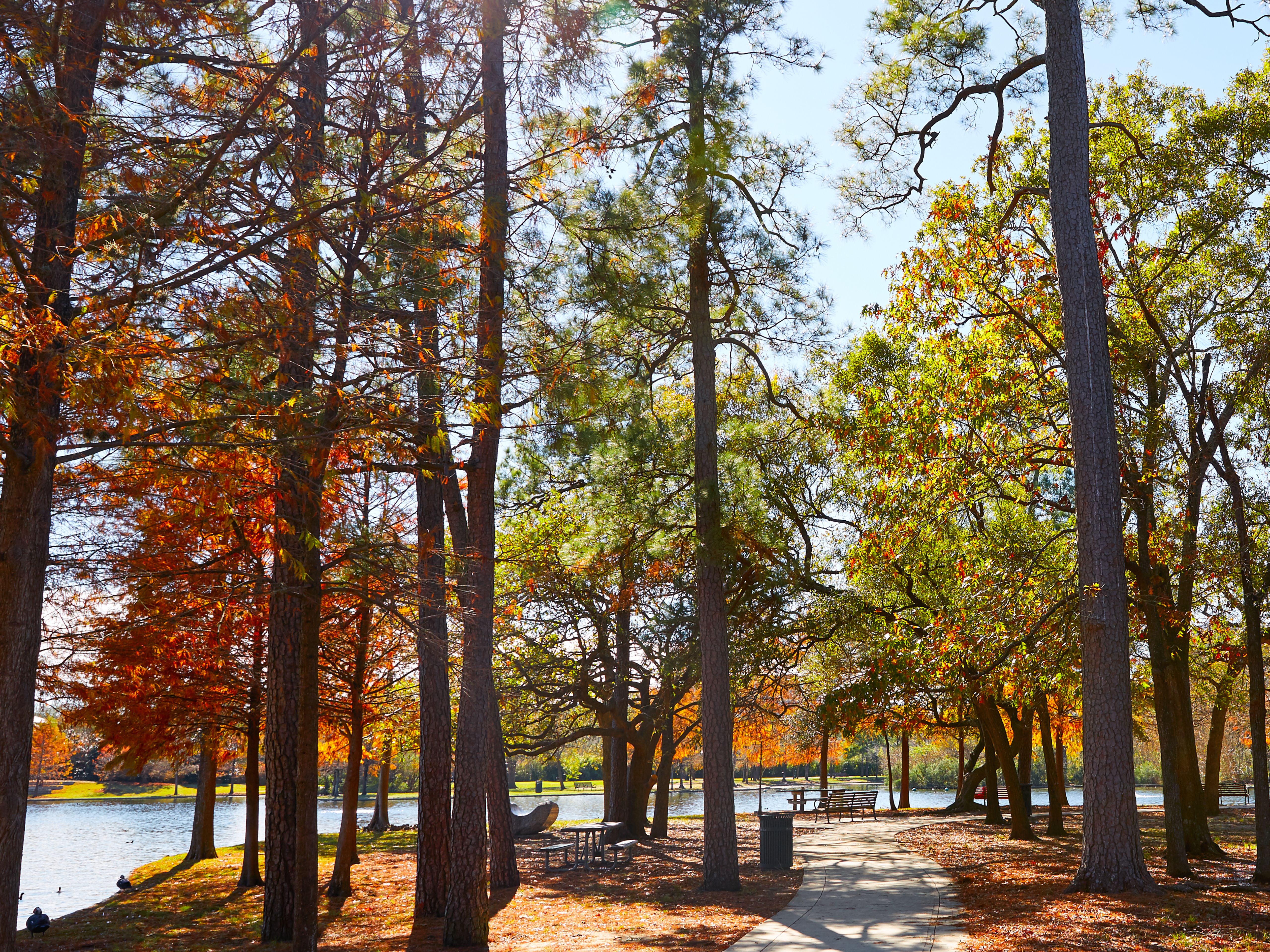 Take a Tour of Houston's 5 Best Paint Walls and Graffiti Murals Houstonia