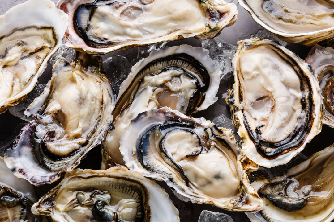 Shuck at Home Kit – Mere Point Oyster Company