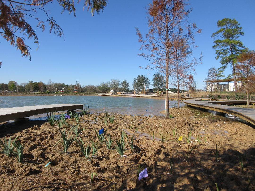 Houston Botanic Garden Gives Community A Sneak Peek In January