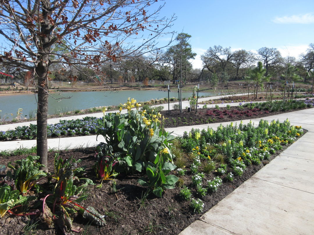 Houston Botanic Garden Gives Community A Sneak Peek In January