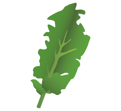 Kale illo xbta2k
