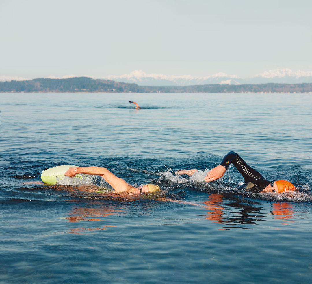 Why Don'T Marathon Swimmers Wear Wetsuits  