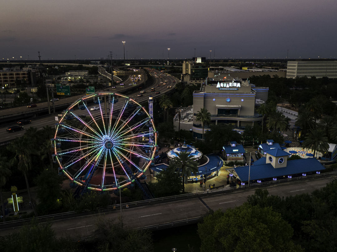 The Houston aquarium has more than 300 species of life from around the