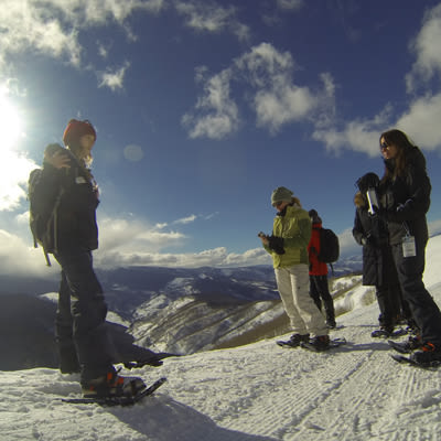 Backcountry snowshoe lbiyle