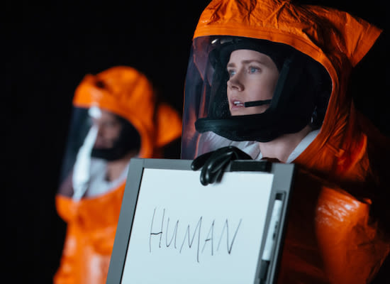 Arrival kswdjz