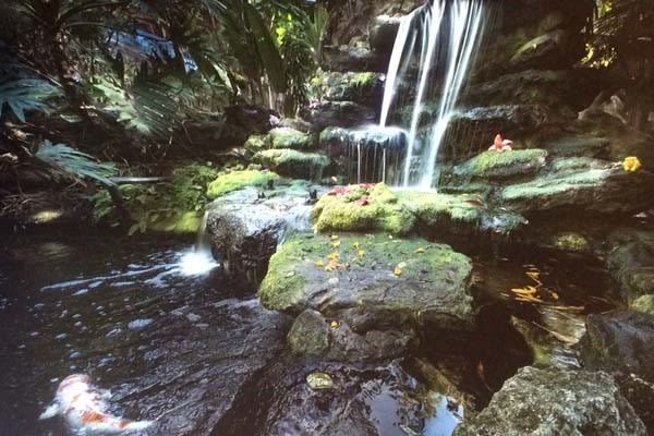 Selby gardens juried photo exhibition llzhry