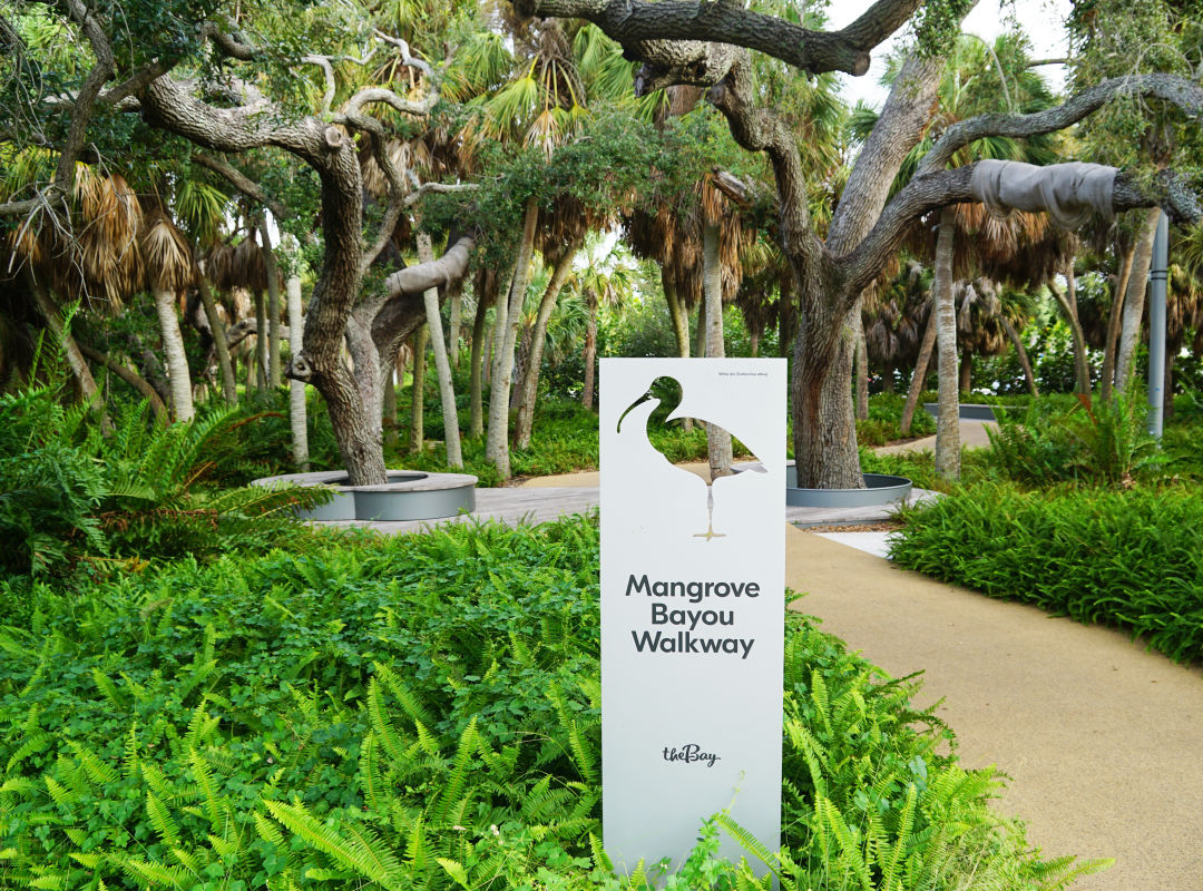 Mangrove-shaded walkways are among the chief attractions at The Bay Park.