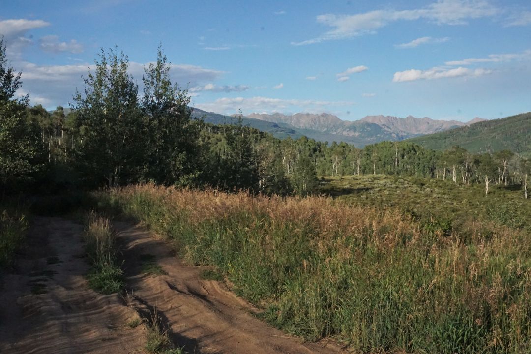 Dsc03845 x2jcax