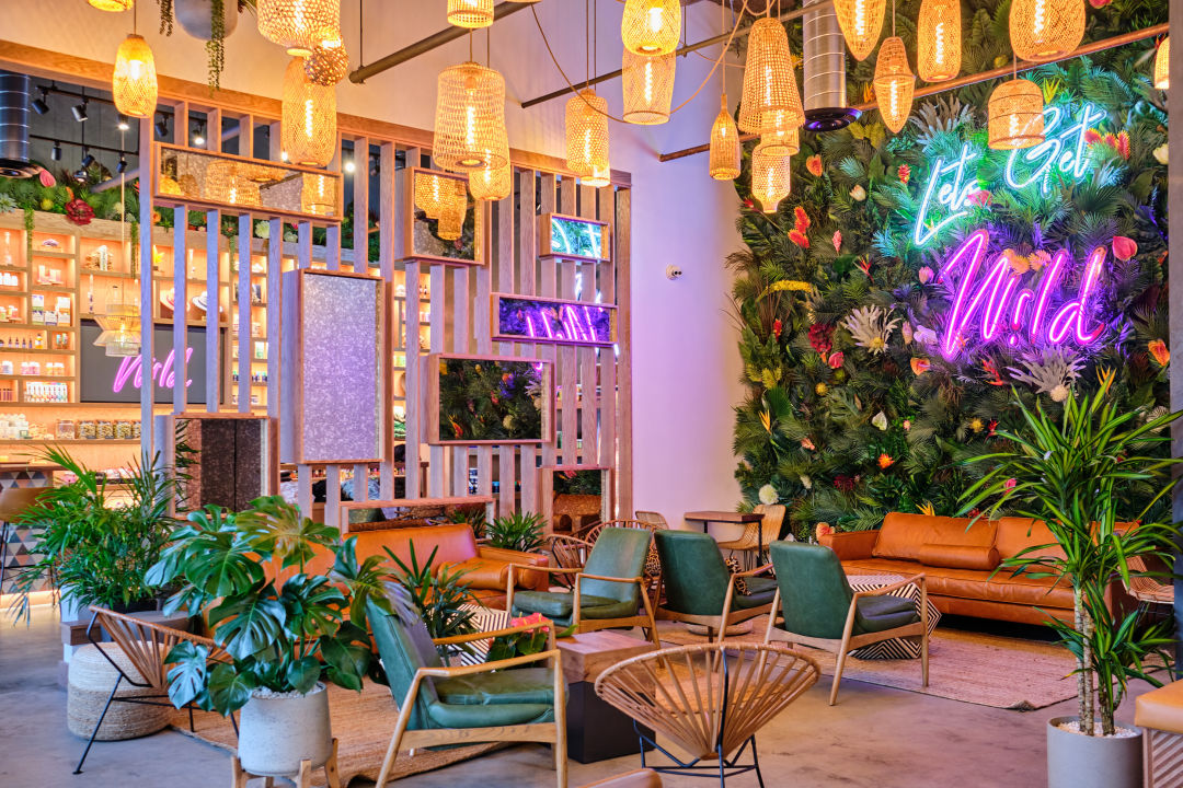 Dig The Vibes At This Cute Plant + Coffee Shop In Houston - Secret Houston