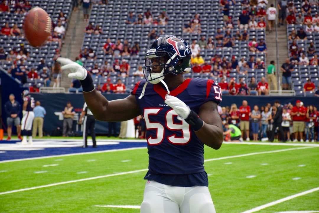 Whitney mercilus eiq027
