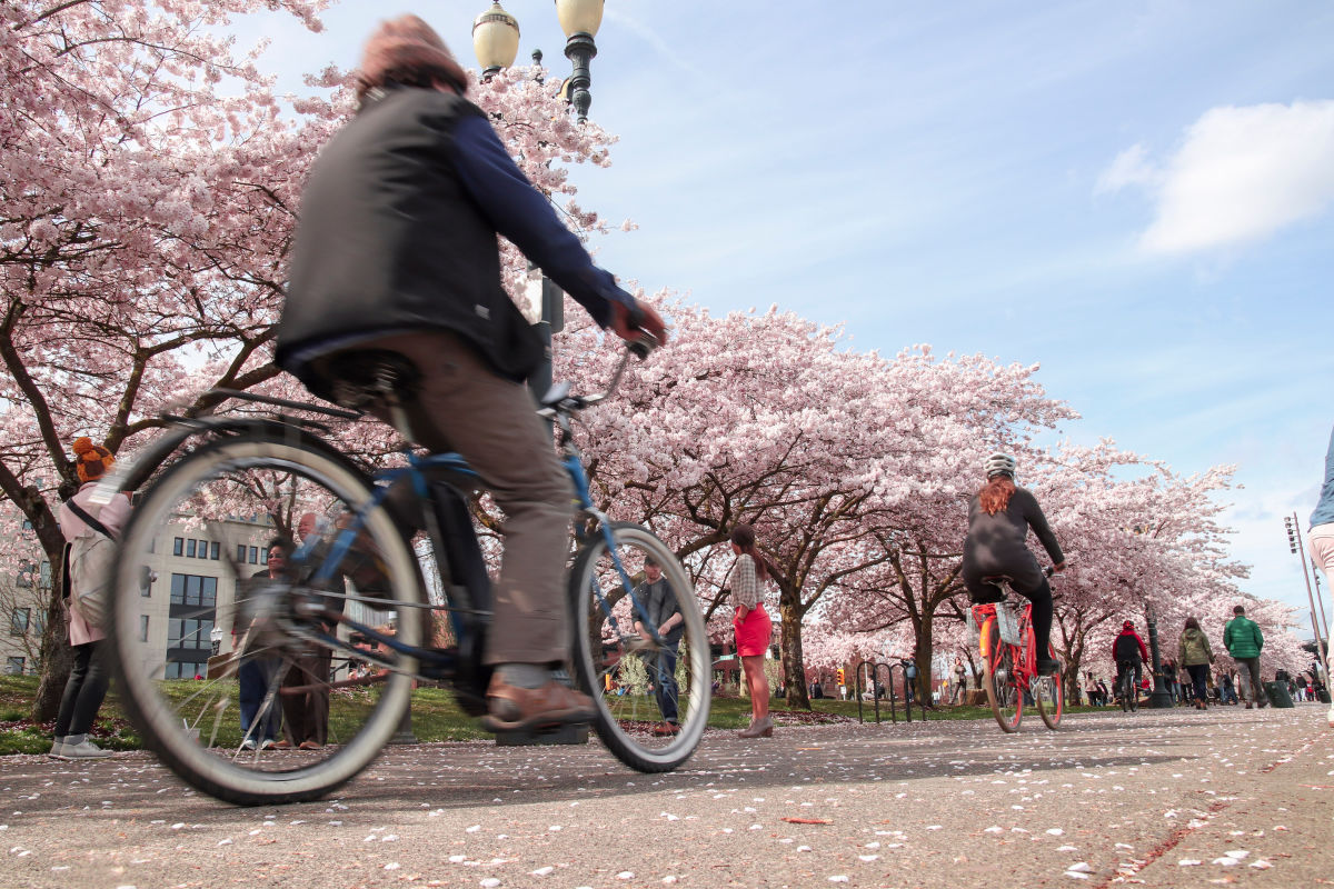 Pedalpalooza Is Back! The Beloved Bike Festival Runs June, July, and August - Vimarsana News