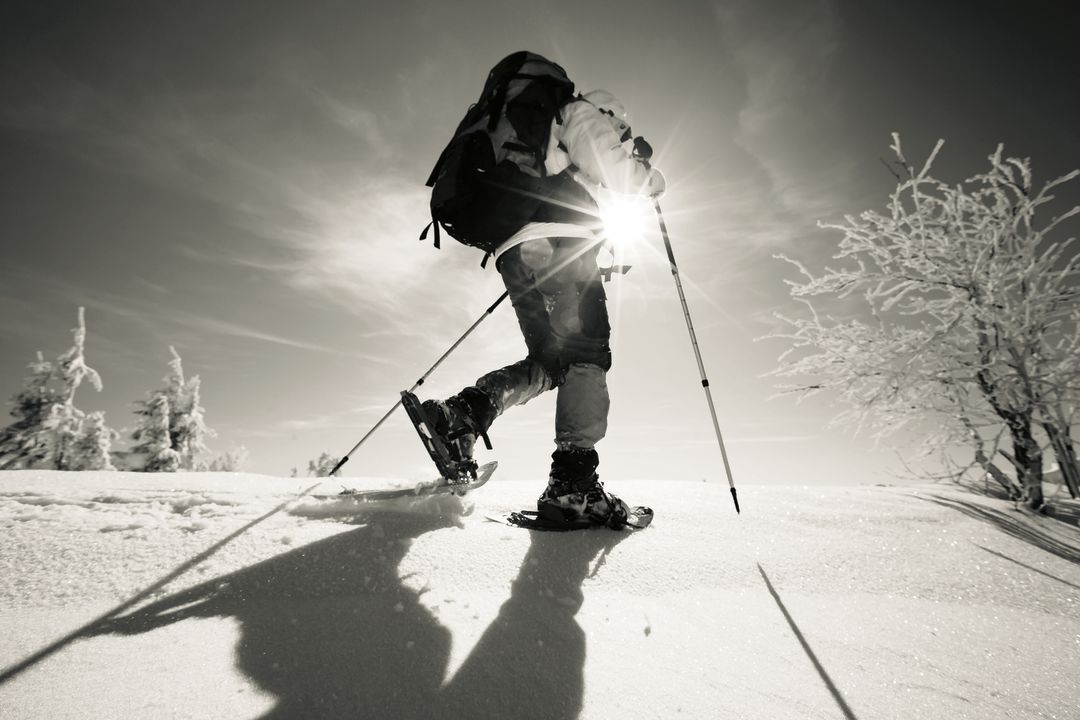 Cosu winter 2013 into the wild snowshoe featured ou3dza