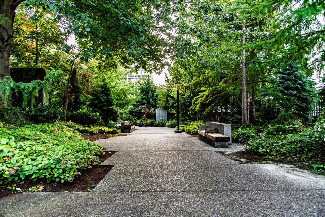 Seattle's Freeway Park. Concrete walkway surrounded lined by trees and a couple of benches.