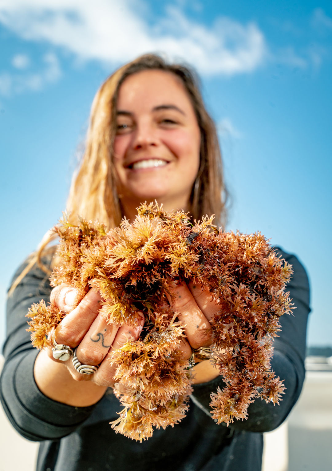oregon-seaweed-alanna_kieffer-aquaculture-coast_broken-banjo_ngp90o Meet Oregon Coast Seaweed Farmer and Marine Educator Alanna Kieffer