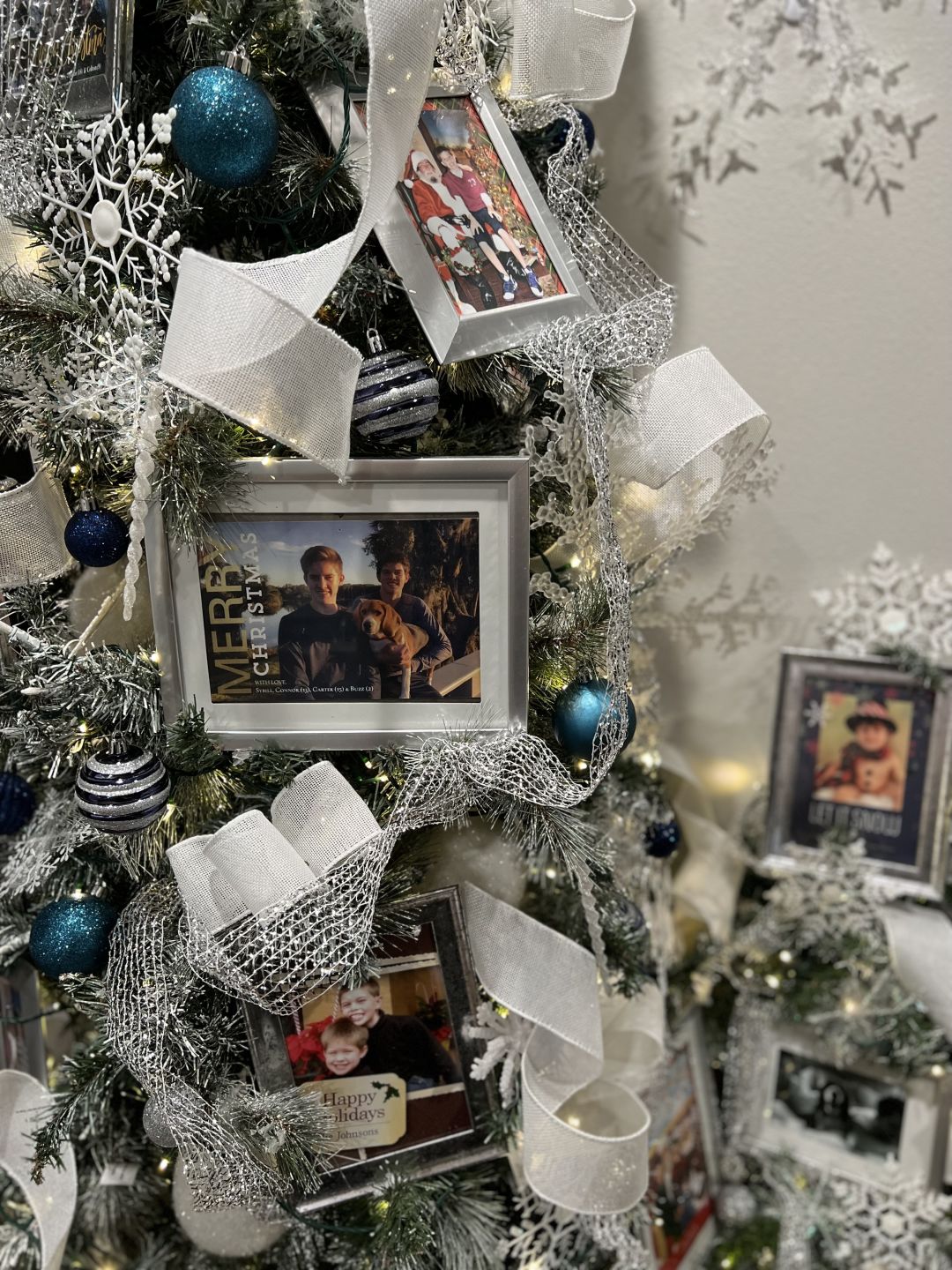 Family photos used as decorations in a christmas tree.