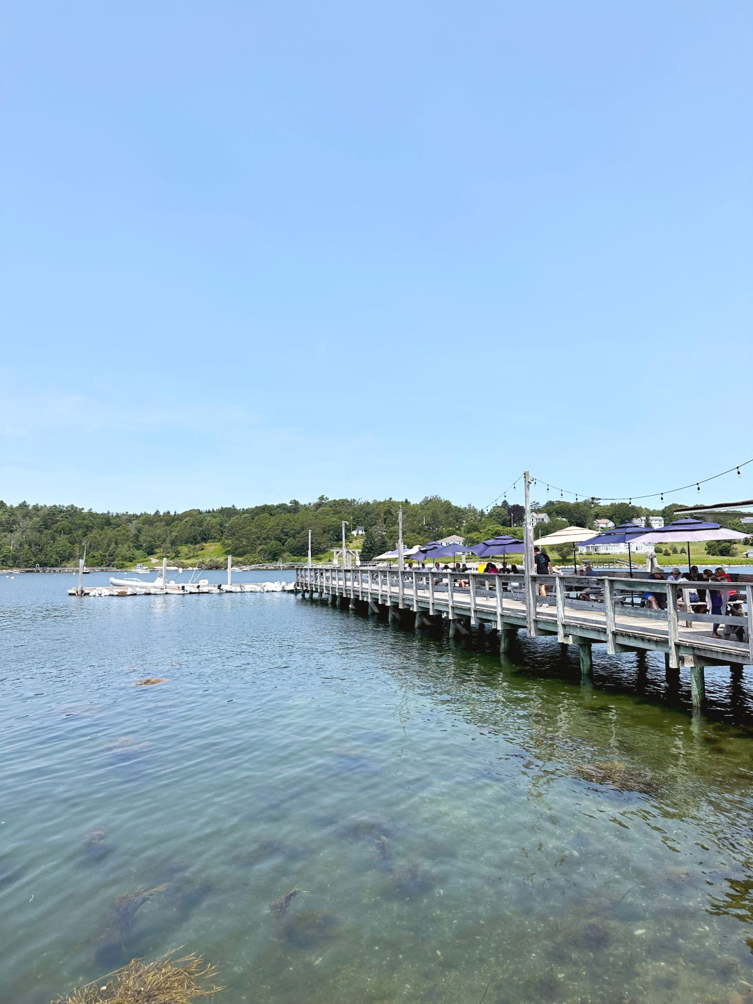 Scenic views at The Contented Sole in Bristol, which is right next to Colonial Pemaquid State Park.