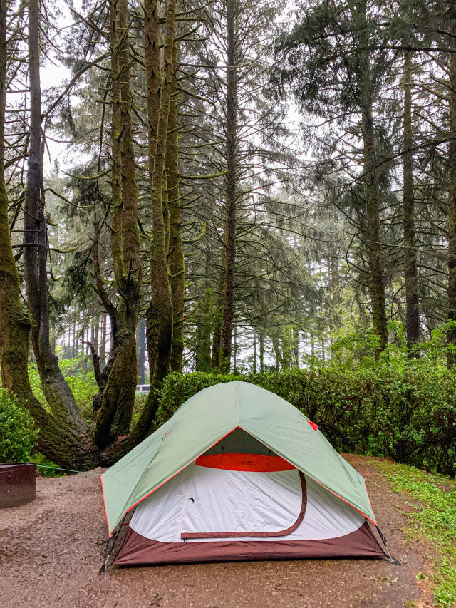 A tent on a flat section of ground in front of tall trees