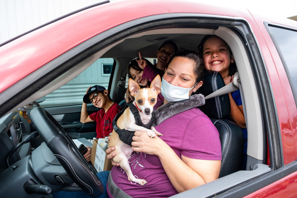 houston animal shelter