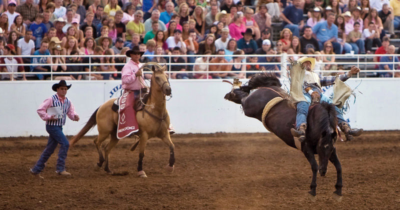 St paul rodeo hitbdo