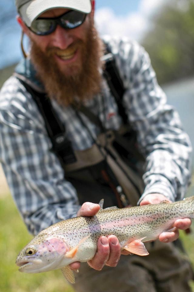 Img allen stretton fish hoveuy