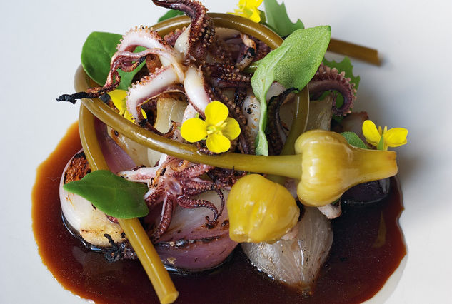 11 045 best rest castagna squid pmumol