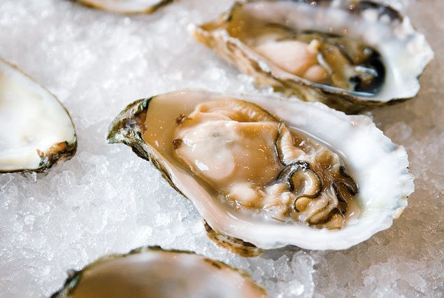 How do oysters make pearls?