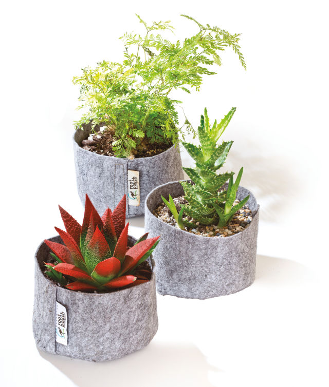 Da2017 trophy case root pouche x1ylwq